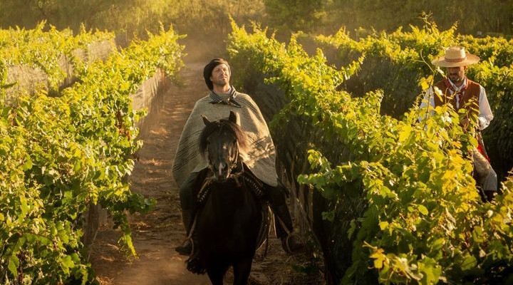 Gauchezco – Vineyard & Winery – Mendoza