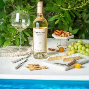 Caminante de los Mundos Orgánico Pinot Grigio 2023