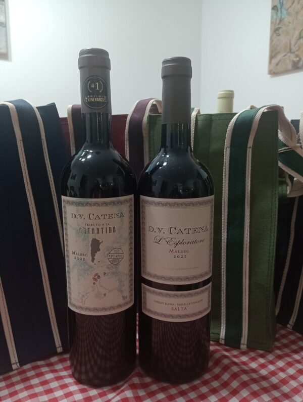 Combo Día del Padre: Wine Bag + 1 DV Tributo Antártida + 1 DV L'Esploratore