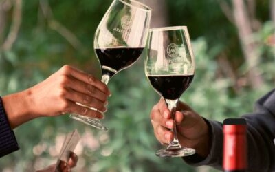 Novedades de Bodega Aristides