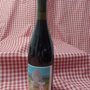 Les Astronautes Malbec Vino Natural