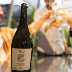 Catena Zapata Domaine Elena de Mendoza N.7 Sparkling Chardonnay Uco Stones BAJO ALCOHOL