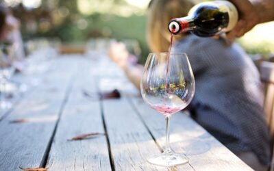 Bodegas Caro: bienvenidos!!!!