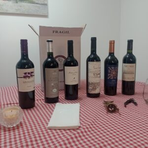Caja Gran Selección Malbec